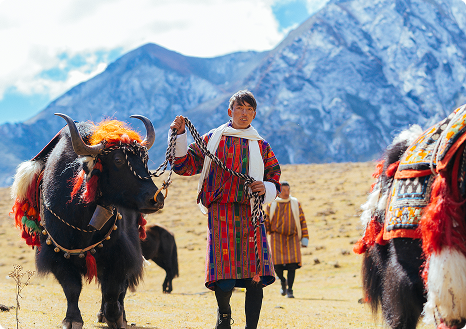 Bhutan landscape